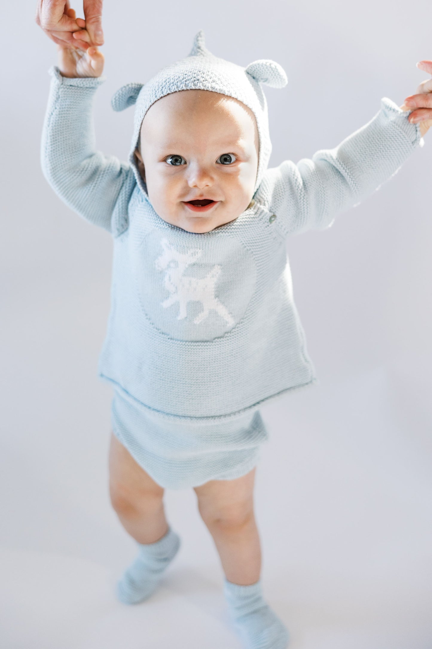 Fawn Set in Powder Blue