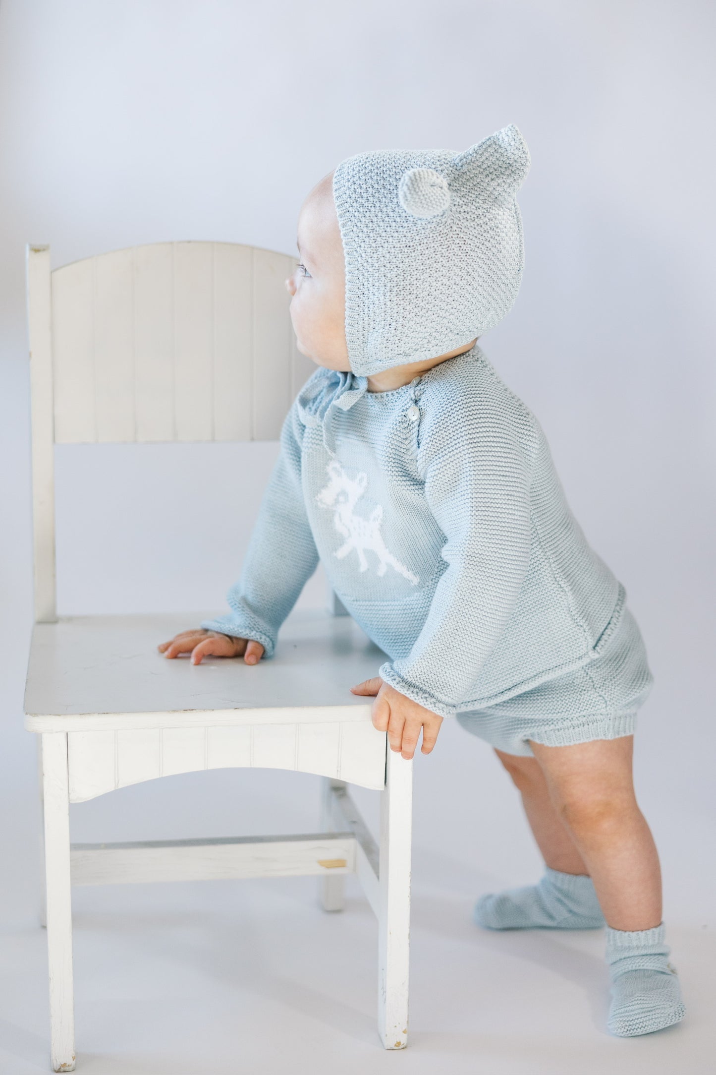 Fawn Set in Powder Blue